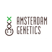 Grapefruit Superstar Feminised Seeds