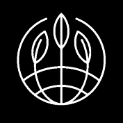 Platinum Lemon Cherry Gelato Feminized Seeds