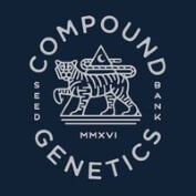 Strawberry Skrilla Feminised Seeds