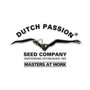 Ultimate Auto Feminised Seeds