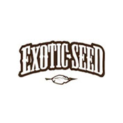 Hippie Therapy CBD Feminised Seeds