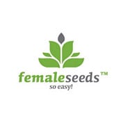 Easy Sativa Feminised Seeds