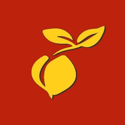 Heavy Z Feminised Seeds