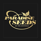 Whiteberry Auto Feminised Seeds