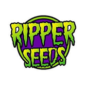 Sour Ripper Feminised Seeds
