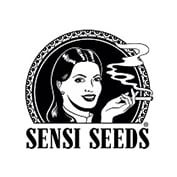 Super Skunk Feminised Seeds