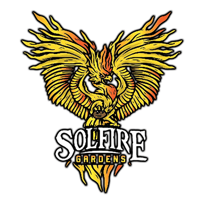 Sundae Supper Féminisée Semences