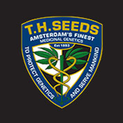 Dark Star Feminised Seeds